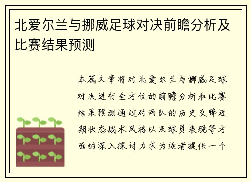 北爱尔兰与挪威足球对决前瞻分析及比赛结果预测